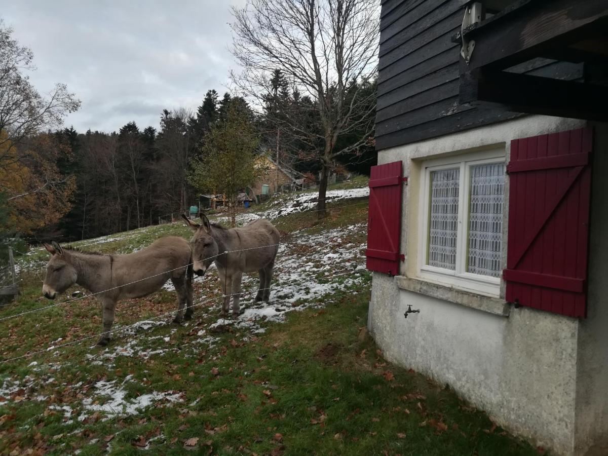 Le Chalet De Rothenbuhl Dabo Exteriér fotografie